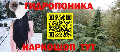 молекула духа Ликино-Дулёво