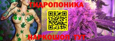 молекула духа Ликино-Дулёво