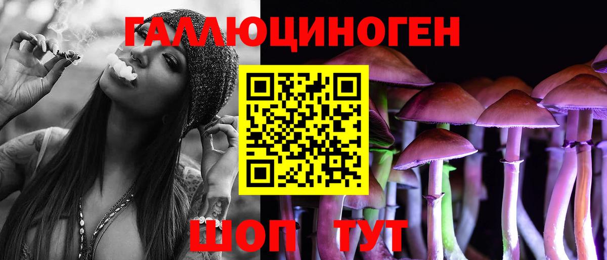 Галлюциногенные грибы Cubensis Славгород