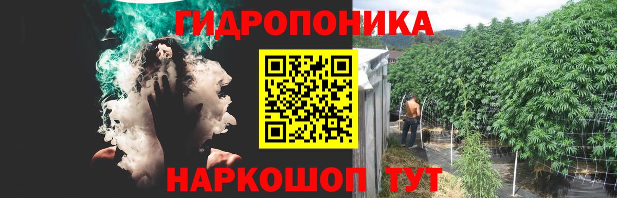 Конопля VHQ  Вход с VPN  Славгород  Бошки Шишки THC 21% 